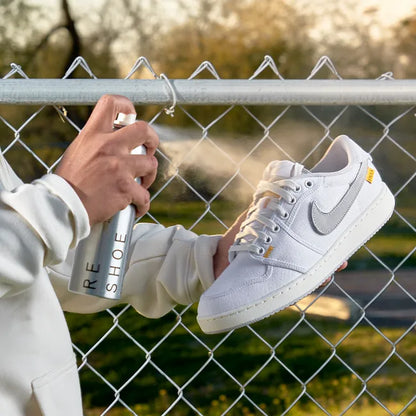 EXECUTIVE SHOE CLEANING SYSTEM