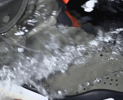 EXECUTIVE SHOE CLEANING SYSTEM